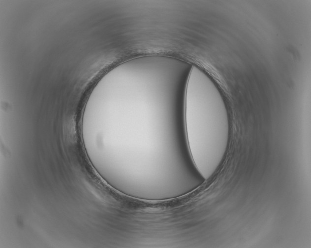 X0000090970251200708021148
