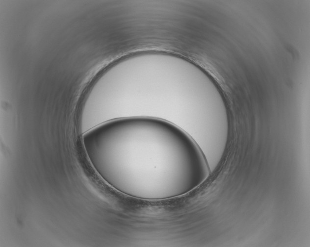 X0000090970252200708021148