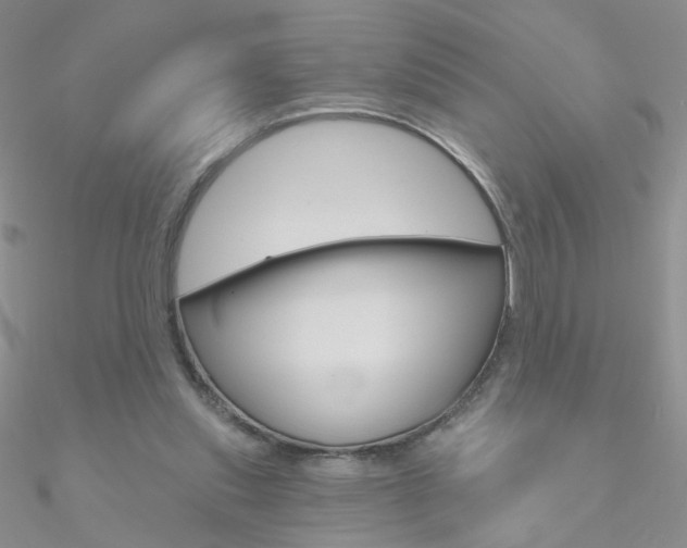 X0000090970253200708021148