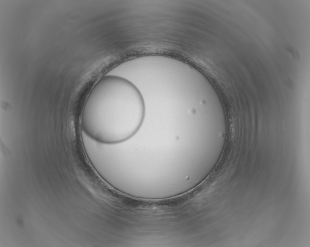 X0000090970254200708021148