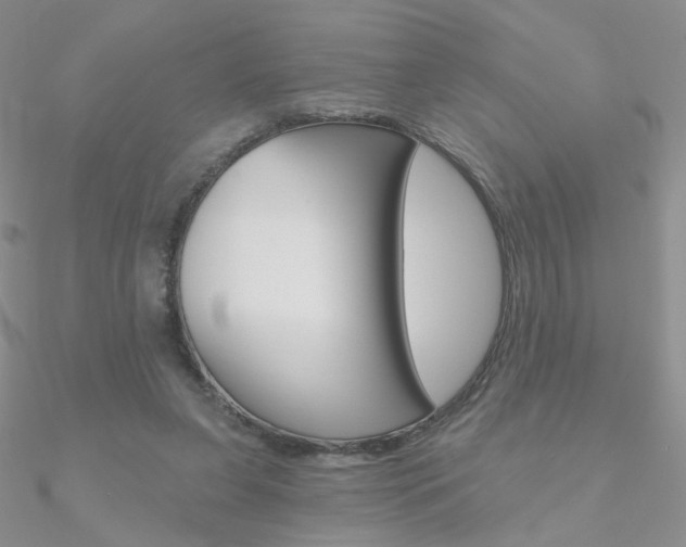 X0000090970255200708021148