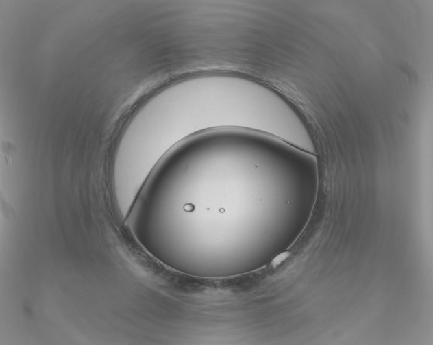 X0000090970256200708021148