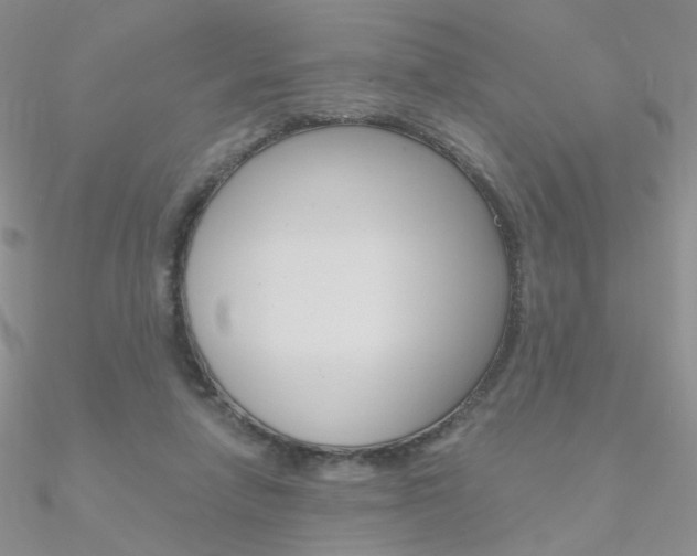 X0000090970258200708021148