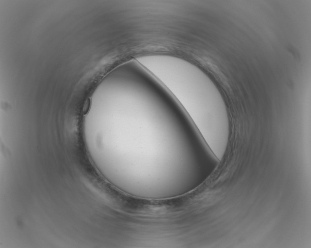 X0000090970260200708021148