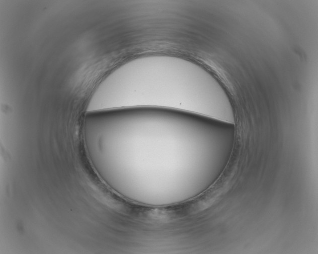 X0000090970261200708021148