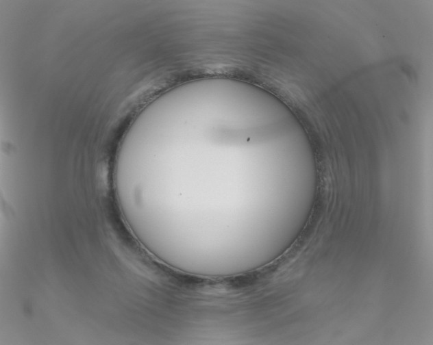 X0000090970262200708021148