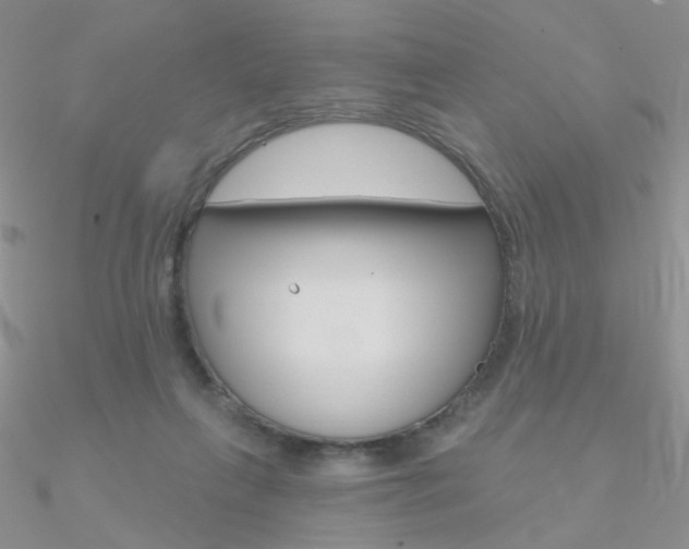 X0000090970263200708021148