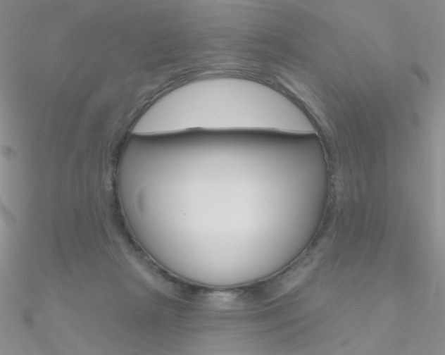 X0000090970265200708021148