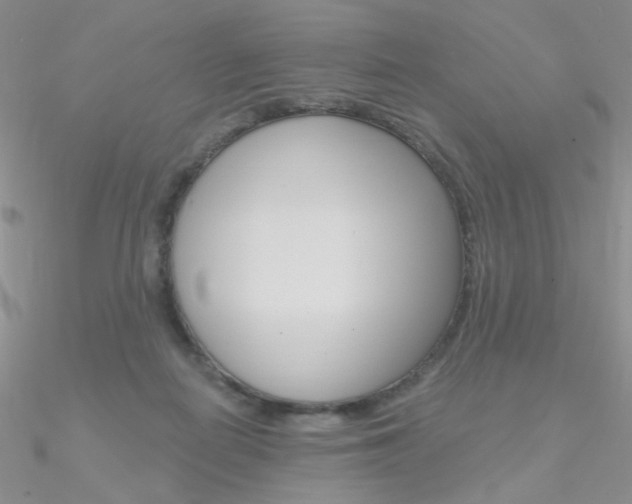 X0000090970266200708021148
