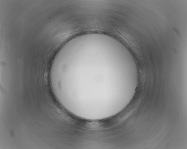 X0000090970269200708021148