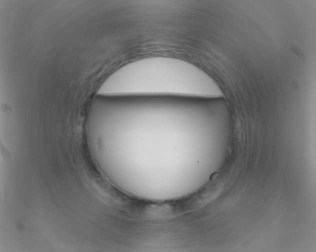 X0000090970271200708021148