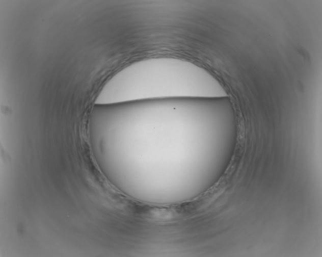 X0000090970272200708021148
