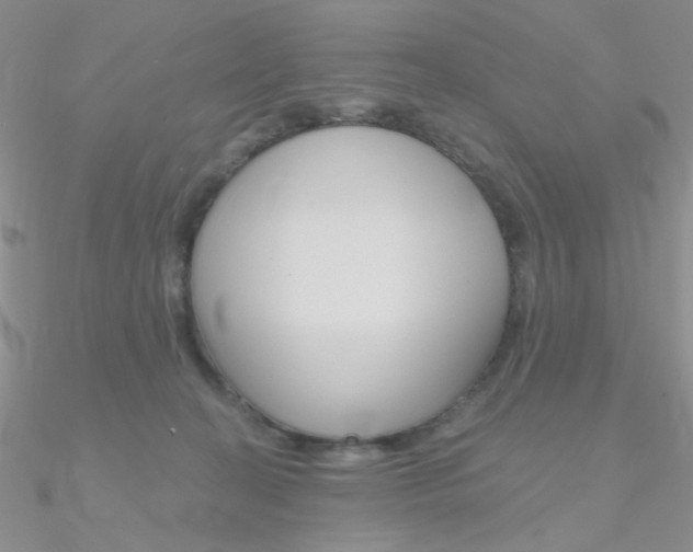 X0000090970274200708021149