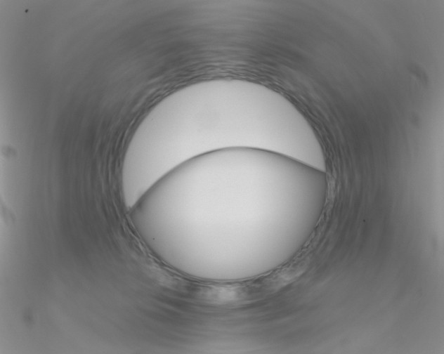 X0000090970276200708021149