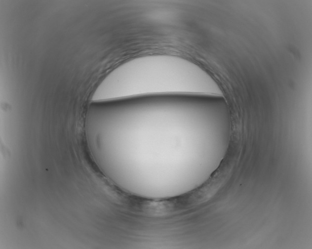 X0000090970277200708021149