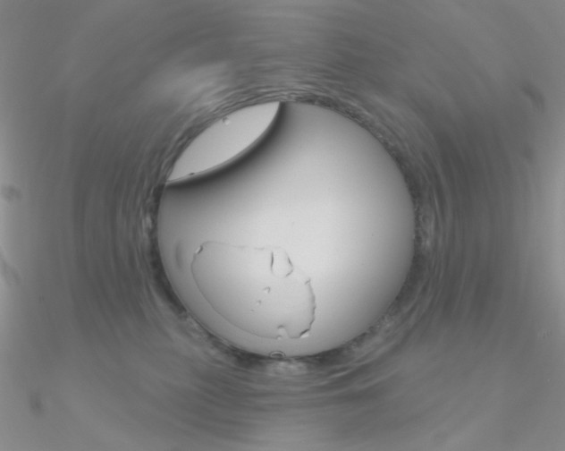 X0000090970279200708021149