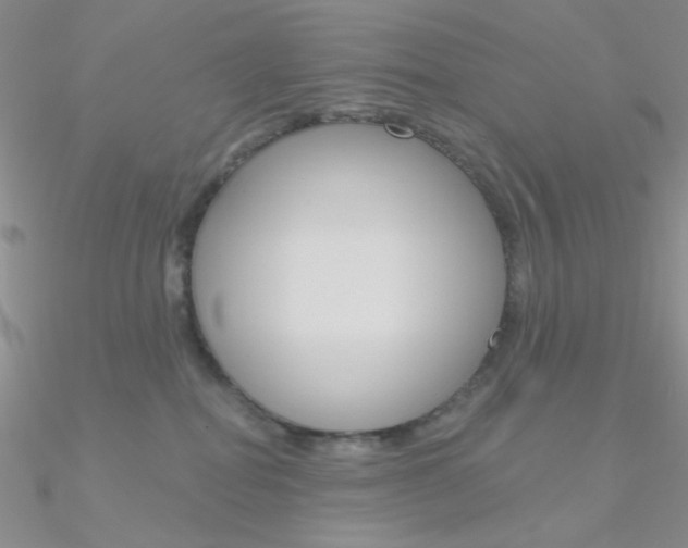 X0000090970282200708021149