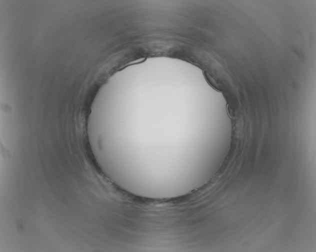 X0000090970283200708021149