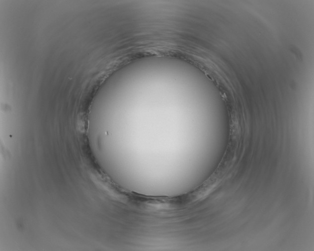X0000090970284200708021149