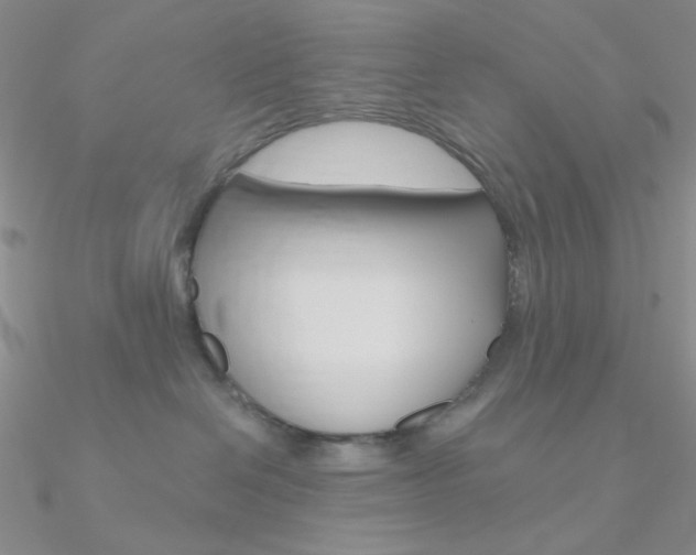 X0000090970286200708021149