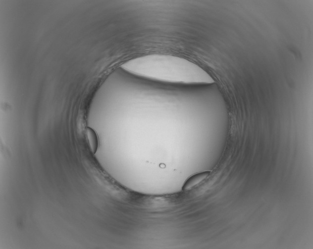 X0000090970287200708021149