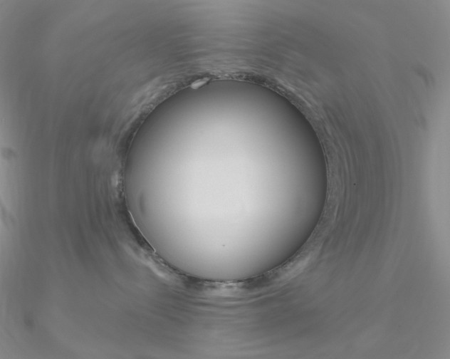 X0000090970288200708021149
