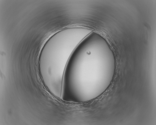 X0000090970289200708021148