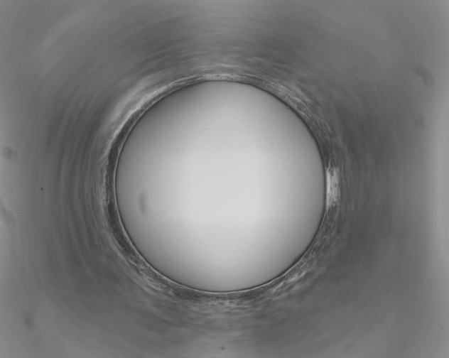 X0000090970291200708021148