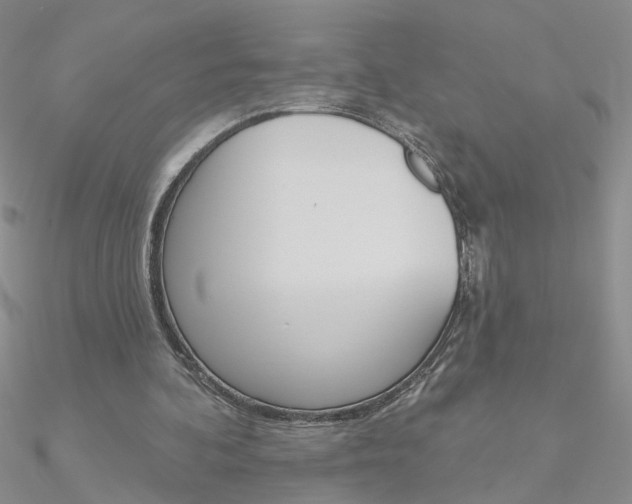 X0000090970292200708021148