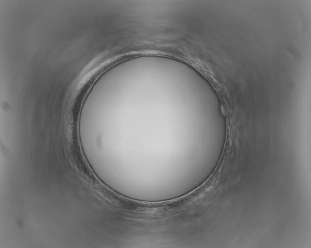 X0000090970295200708021148