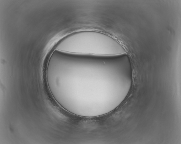 X0000090970296200708021148