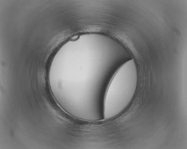 X0000090970300200708021148