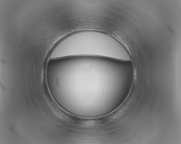 X0000090970301200708021148