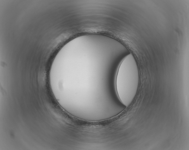 X0000090970304200708021148