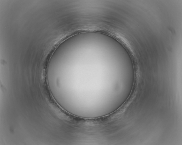 X0000090970305200708021148