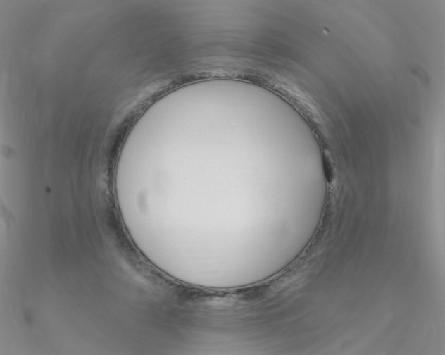 X0000090970306200708021148