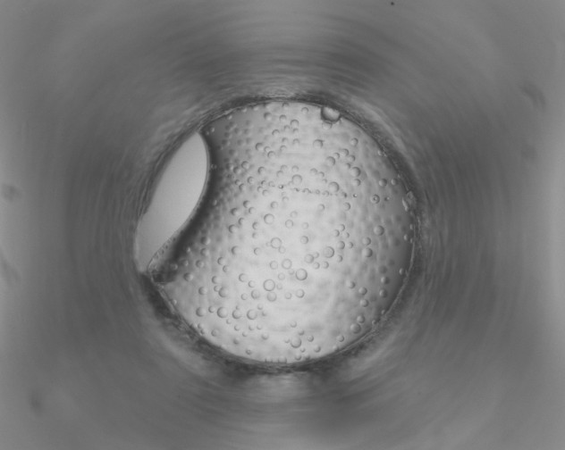 X0000090970307200708021148