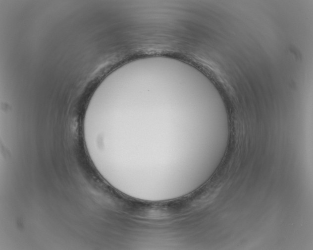 X0000090970308200708021148