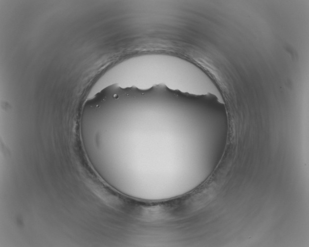 X0000090970309200708021148