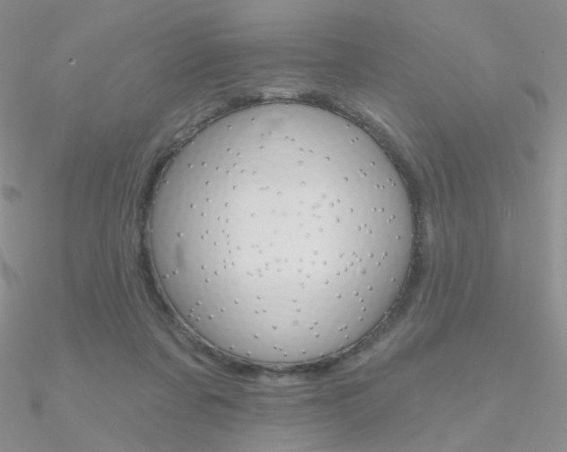 X0000090970311200708021148