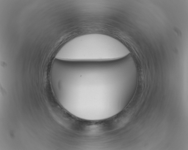 X0000090970312200708021148