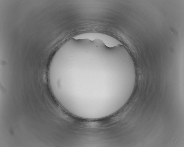X0000090970313200708021148