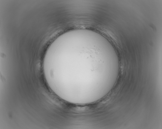 X0000090970314200708021148