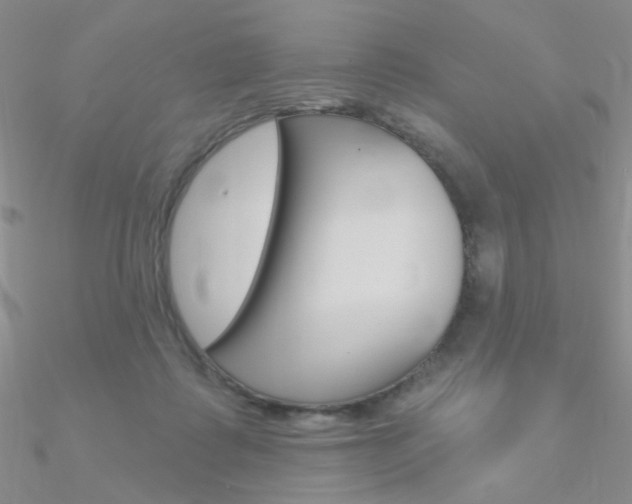 X0000090970315200708021148
