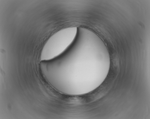 X0000090970316200708021148