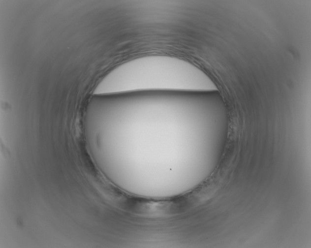 X0000090970323200708021148