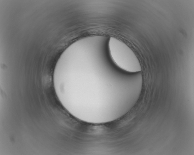 X0000090970324200708021148