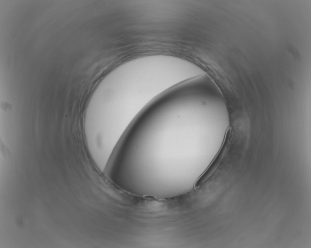 X0000090970325200708021148