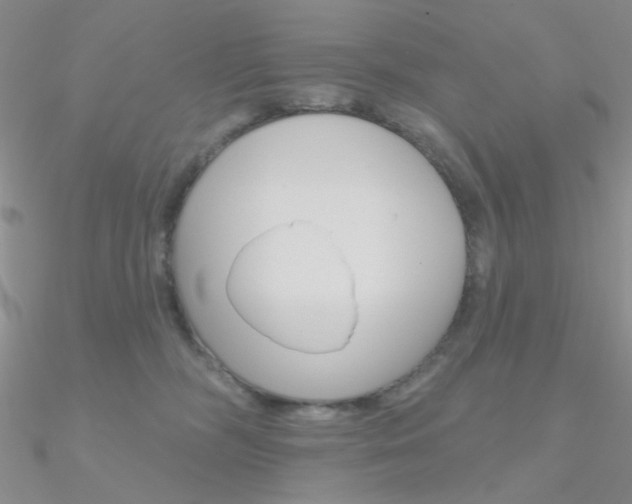 X0000090970326200708021148
