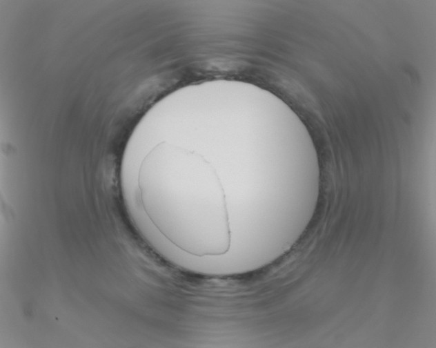 X0000090970328200708021148